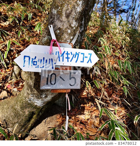 雛田山登山道 83478012