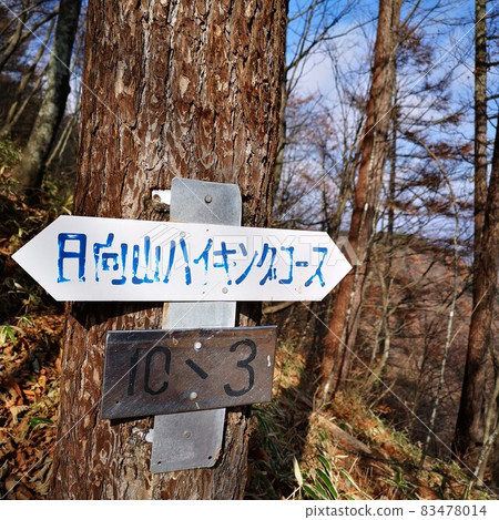 雛田山登山道 雛田山登山道 83478014