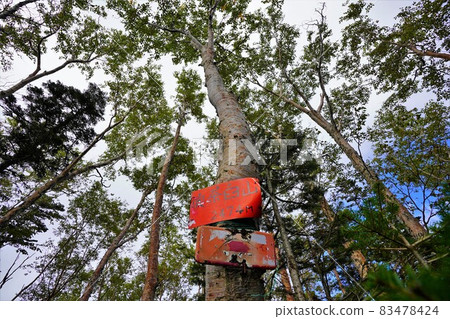 Mt. Okuchausu mountaintop sign and forest belt 83478424