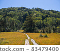Autumn leaves climbing Hiuchigatake 83479400