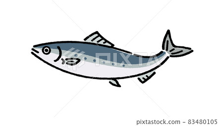 sardine 83480105