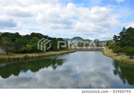 Summer Niteko Pond Summer Niteko Pond 83480749