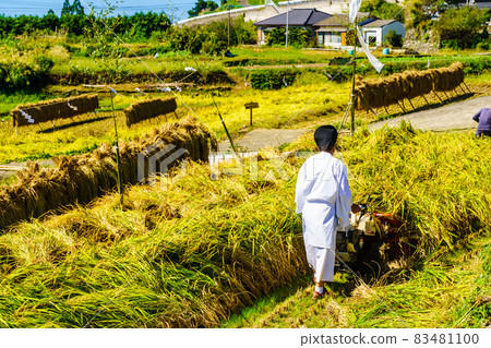 Onakao Tanada Rice Harvesting Good Harvest Shinto ritual [Nagasaki City] 83481100