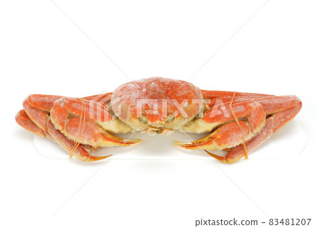 Tottori snow crab boiled frozen snow crab 83481207