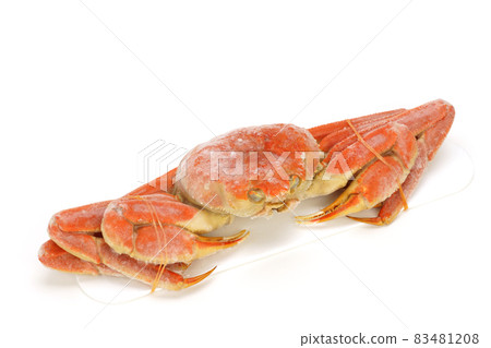 Tottori snow crab boiled frozen snow crab 83481208