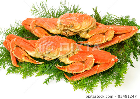 鳥取雪蟹水煮雪蟹 83481247