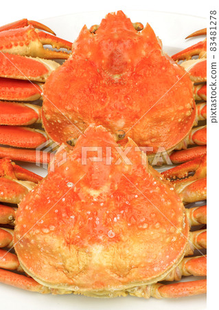 鳥取雪蟹在盤子裡煮雪蟹 83481278