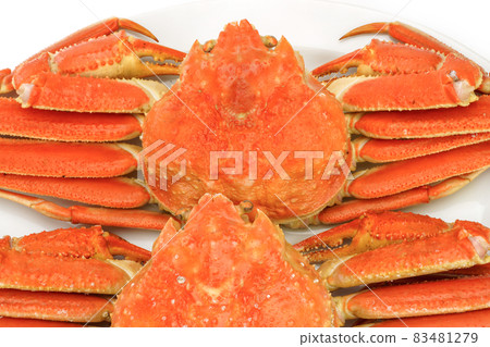 鳥取雪蟹在盤子裡煮雪蟹 83481279