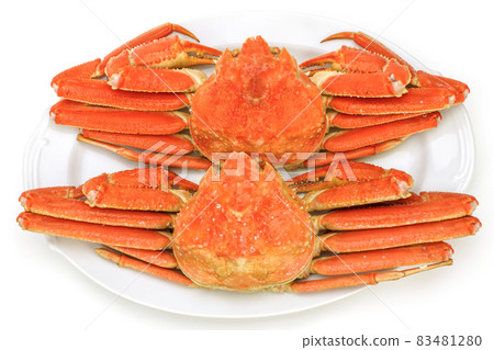 鳥取雪蟹在盤子裡煮雪蟹 83481280