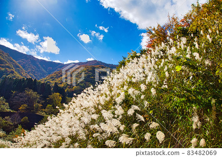 Hokyoji Temple 83482069