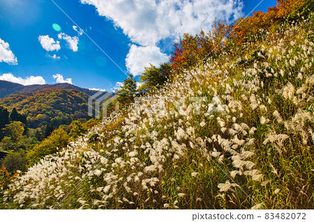Hokyoji Temple Hokyoji Temple 83482072