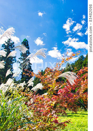 Hokyoji Temple 83482098