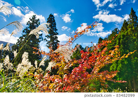 Hokyoji Temple Hokyoji Temple 83482099