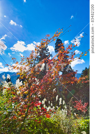 Hokyoji Temple 83482100