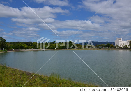 Koyoi Park Koyoi Park 83482656