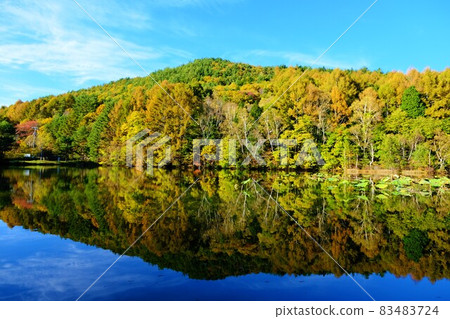 聖山白樺湖 湖面映照出如鏡子般的紅葉山 83483724