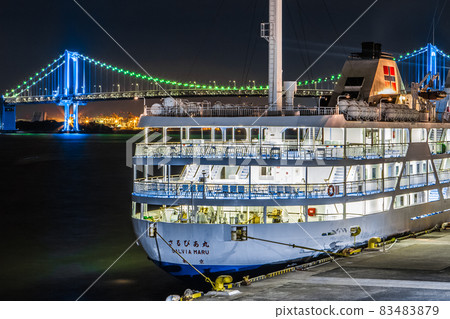 Tokai Kisen "Sarubia Maru" at night 83483879