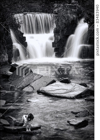 Penllergare Valley Woods Waterfall near Swansea in Wales 83483940