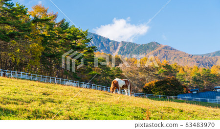 Yamanashi Prefectural Makiba Park Plateau Ranch Yamanashi Prefectural Makiba Park Plateau Ranch 83483970