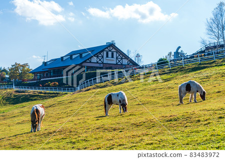 山梨縣立牧場公園高原牧場 山梨縣立牧場公園高原牧場 83483972
