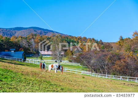 山梨縣立牧場公園高原牧場 83483977