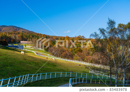 山梨縣立牧場公園高原牧場 山梨縣立牧場公園高原牧場 83483978