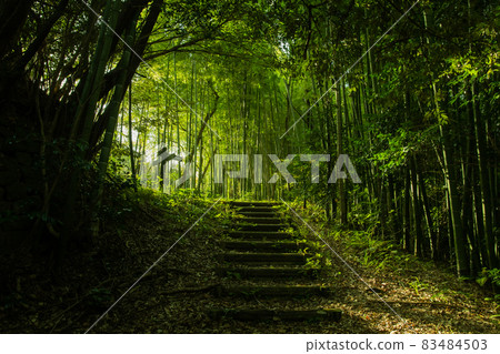 Komatsu City, Ishikawa Prefecture Resting Forest 83484503
