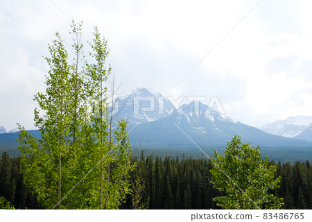 春天加拿大落基山脈路易斯湖附近的新鮮綠色山峰(加拿大) 春天加拿大落基山脈路易斯湖附近的新鮮綠色山峰(加拿大) 83486765