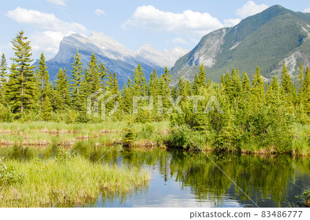 春季加拿大落基山脈班夫國家公園 Fresh Green Lake Vermilion 和 Mount Rundle(加拿大) 春季加拿大落基山脈班夫國家公園 Fresh Green Lake Vermilion 和 Mount Rundle(加拿大) 83486777