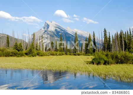 Spring Canadian Rockies Banff National Park Fresh Green Lake Vermilion and Mount Rundle (Canada) 83486801