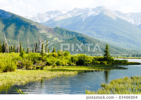 Spring Canadian Rockies Banff National Park Fresh Green Vermilion Lake (Canada) 83486804