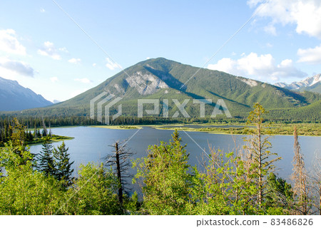 Spring Canadian Rockies Banff National Park Fresh Green Morning Vermilion Lake (Canada) 83486826