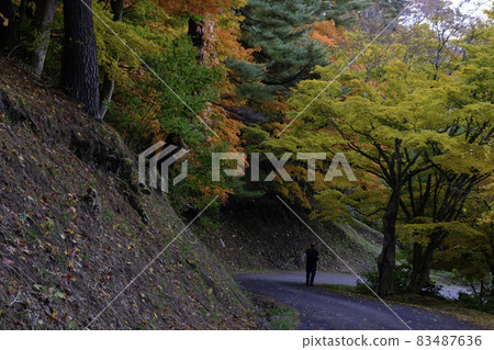 Mt. Wakakusa autumn leaves 1 Mt. Wakakusa autumn leaves 1 83487636