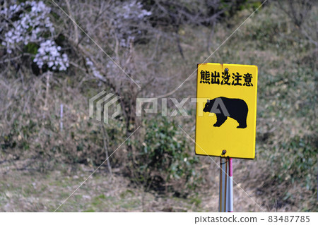Be careful with bears Be careful with bears 83487785
