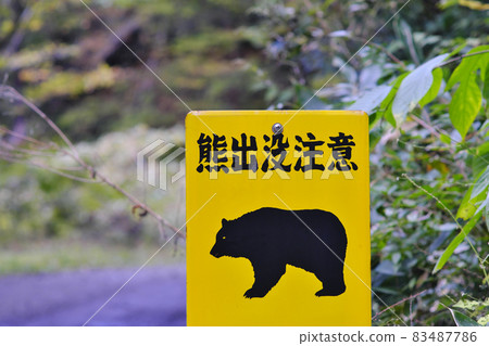 Be careful with bears 83487786