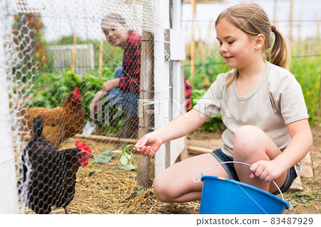 Mom and her daughter feed chickens in chicken coop in backyard of country house Mom and her daughter feed chickens in chicken coop in backyard of country house 83487929