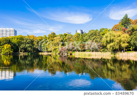 Inokashira Park Autumn Inokashira Park Autumn 83489670