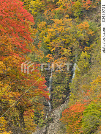 長野縣榮村秋山鄉 83489731