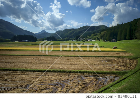 收穫風景 收穫風景 83490111