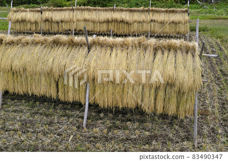 Landscape with rice rack 83490347