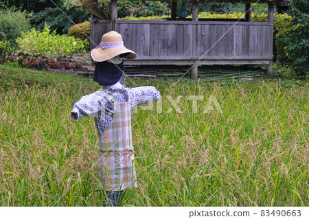 稻草人 稻草人 83490663