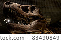 Dinosaur bones 83490849