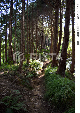 Akasaka Castle 83490868