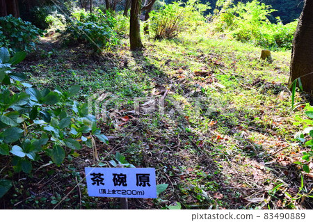 赤坂城 赤坂城 83490889