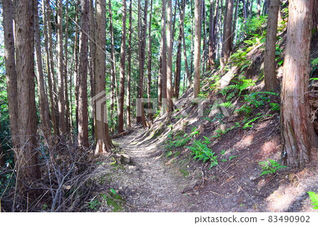 Akasaka Castle Akasaka Castle 83490902