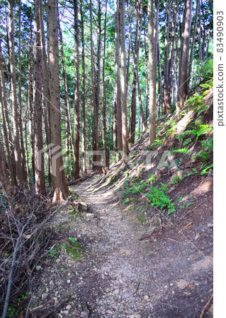 Akasaka Castle Akasaka Castle 83490903