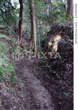 Akasaka Castle 83490906