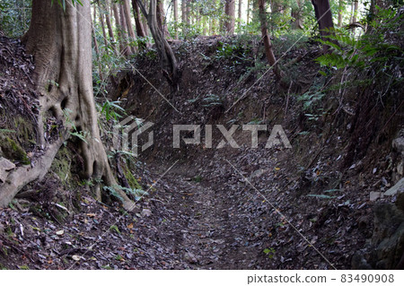 Akasaka Castle 83490908