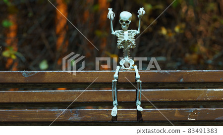 Photograph of a skeleton on the bench in the public park at night. Agressive skeleton toy. He scares passers-by. Natural dark background. Halloween concept. 83491383