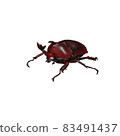 甲蟲 83491437